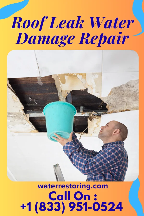 Roof Leak Water Damage Repair in Flint Creek, OK
